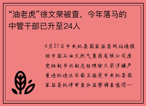 “油老虎”徐文荣被查，今年落马的中管干部已升至24人